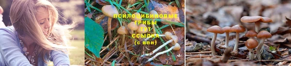 герыч Аркадак