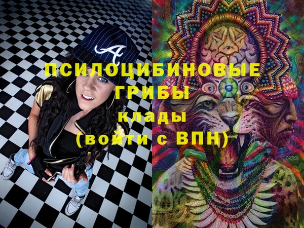 ПСИЛОЦИБИНОВЫЕ ГРИБЫ Няндома